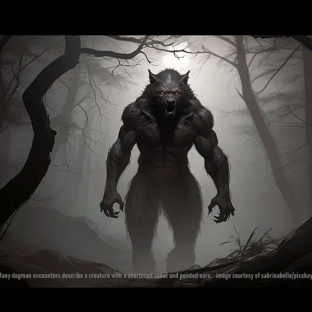 Dogman Calendar 2027 Werewolf Rougarou Wolfman Cryptid Paranormal Calendar